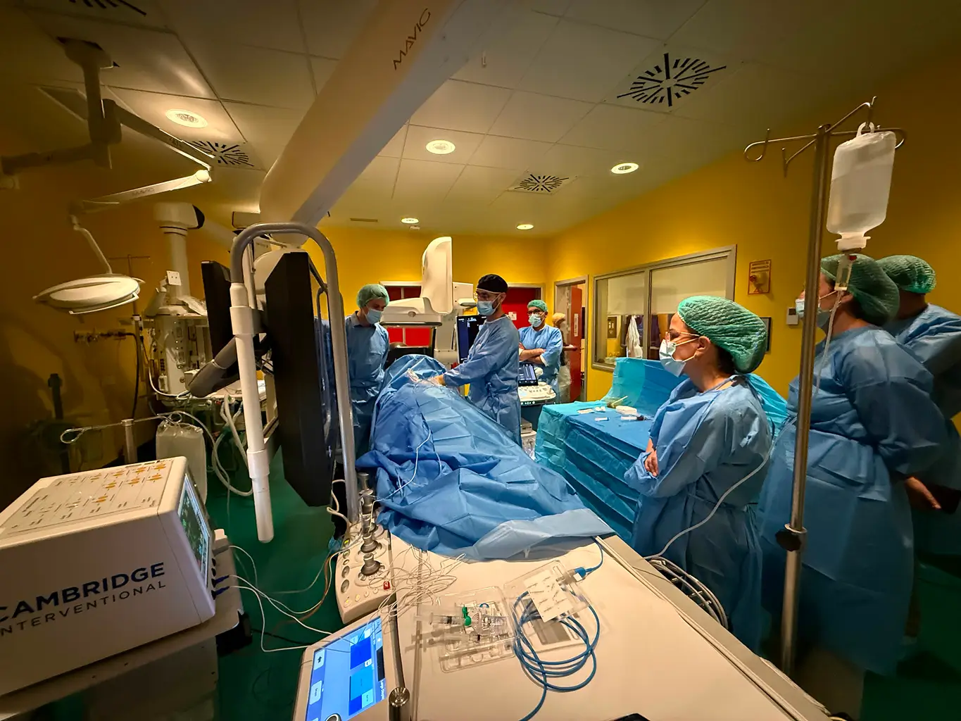 Hands-on training with the Cambridge ablation system