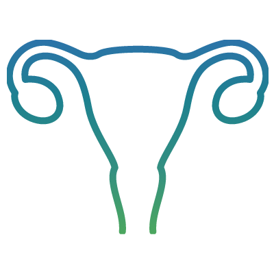 Uterus icon gradient outline