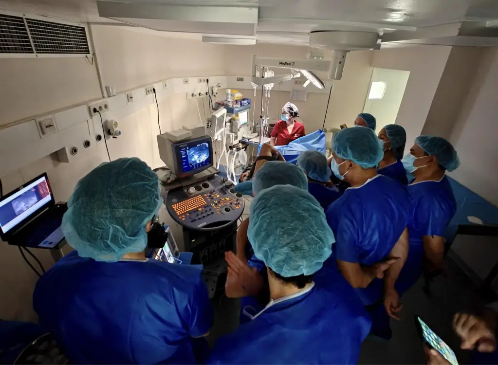 Uterine Fibroid RFA Masterclass in the OR
